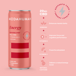 Mixed Pack CBD Drinks